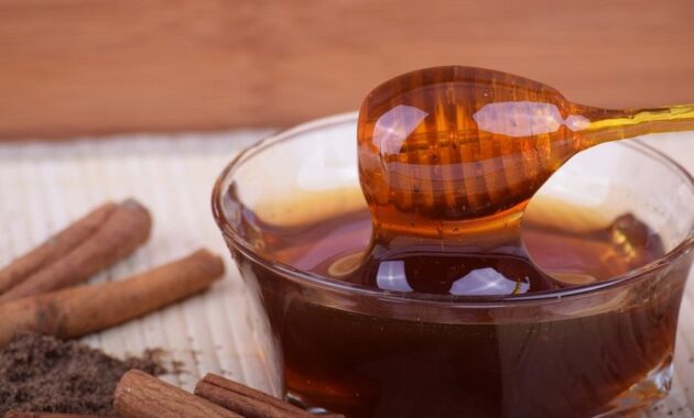manfaat khasiat kayu manis dicampur dengan madu