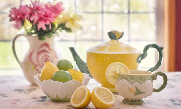 manfaat minum air lemon untuk tubuh