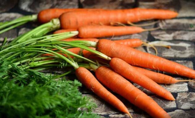 wortel, makanan kaya vitamin A
