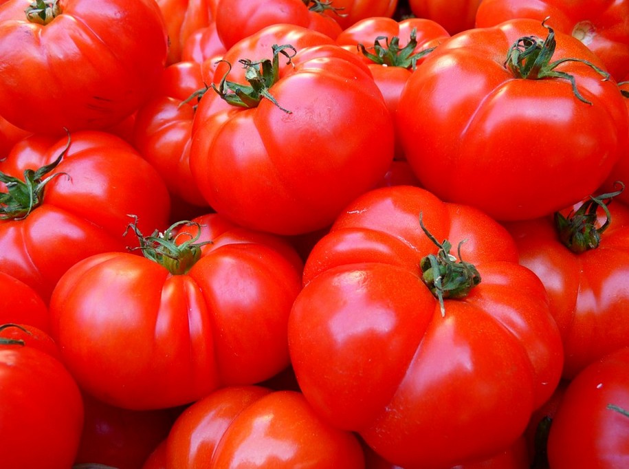 tomat, makanan yang mengandung tinggi likopen